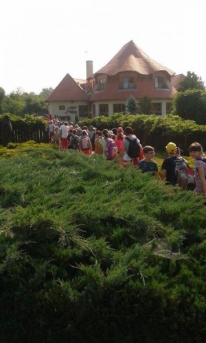 vonulás